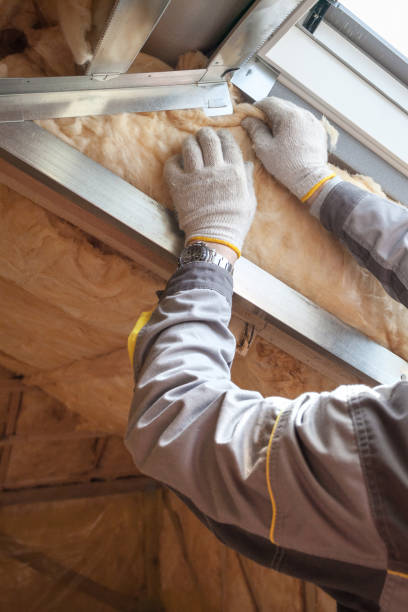 Best Blown-In Insulation  in Andover, KS