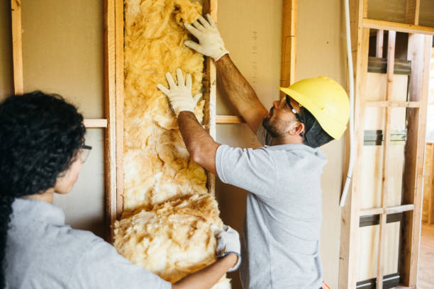 Best Batt and Roll Insulation  in Andover, KS