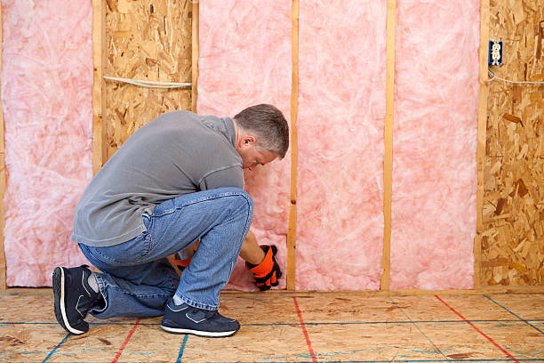 Best Wall Insulation Installation  in Andover, KS